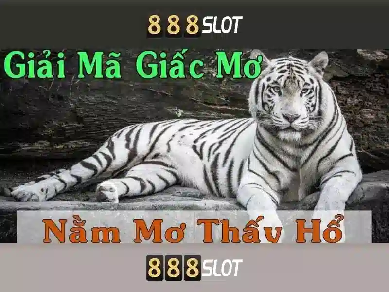 Trải nghiệm người dùng và di động