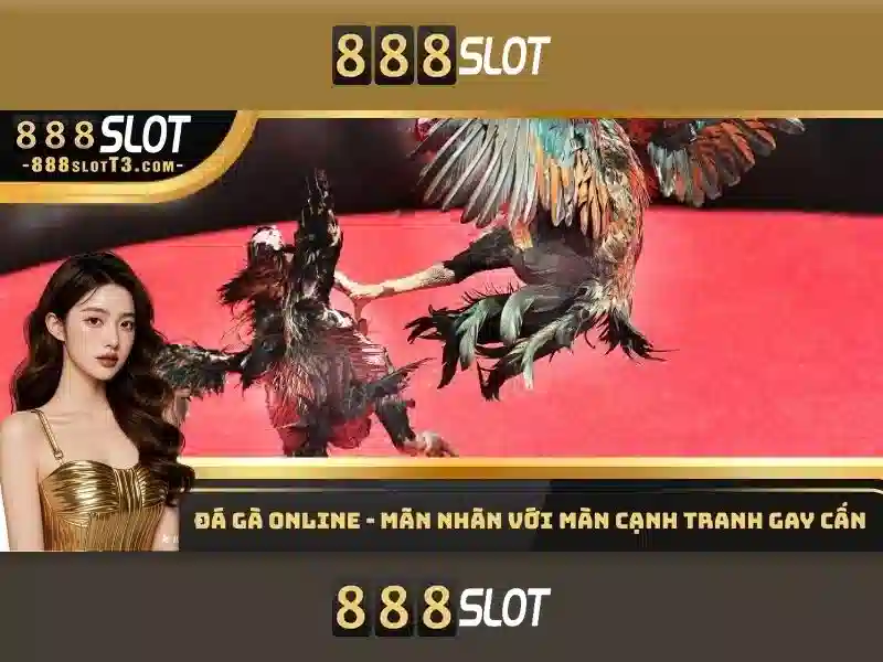 Dịch vụ khách hàng và hỗ trợ