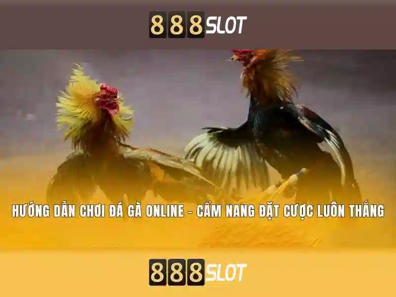 Hỗ trợ và liên hệ