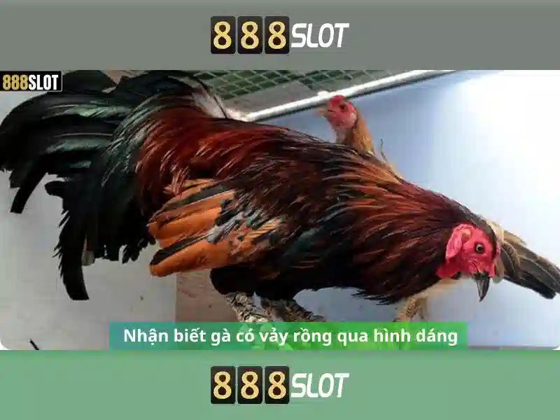 Giới thiệu về 888slot