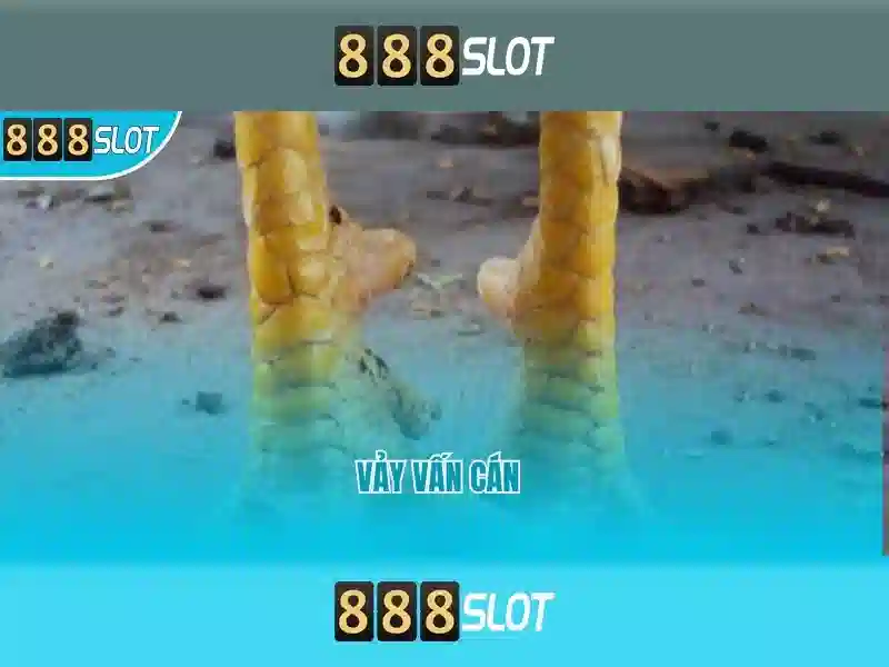 Danh sách trò chơi và trải nghiệm