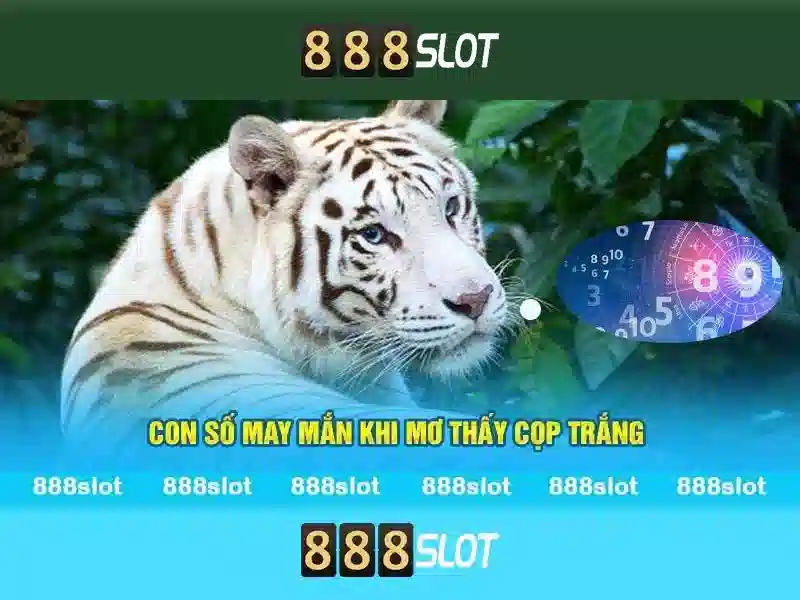 Các trò chơi và trải nghiệm người dùng