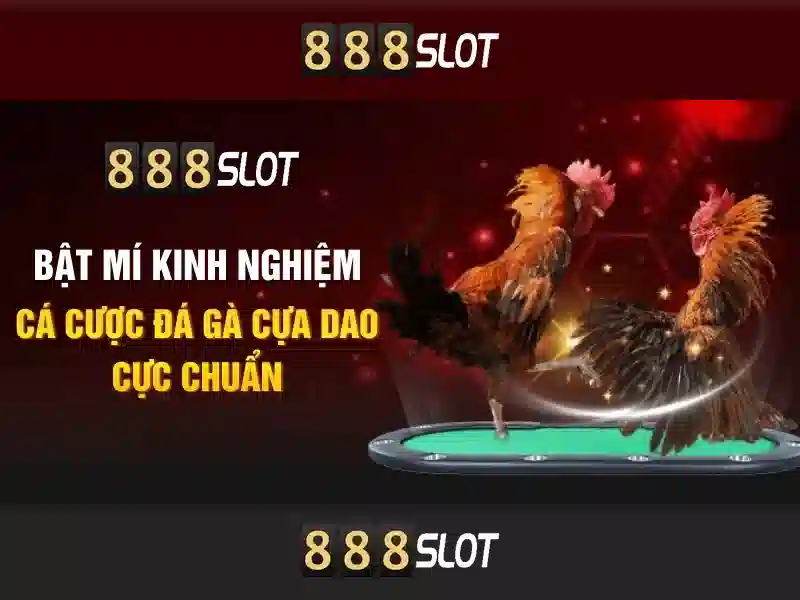 An toàn và thanh toán