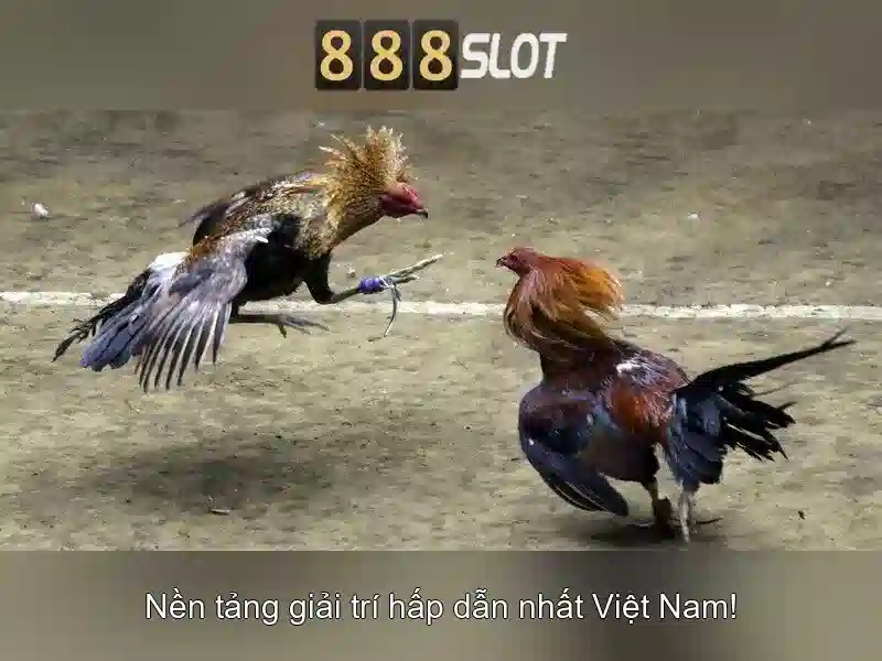 Trải nghiệm người dùng và giao diện