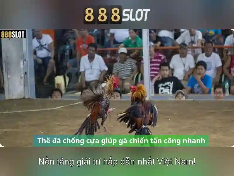 An toàn và thanh toán