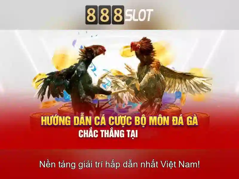 Điểm nổi bật của nền tảng