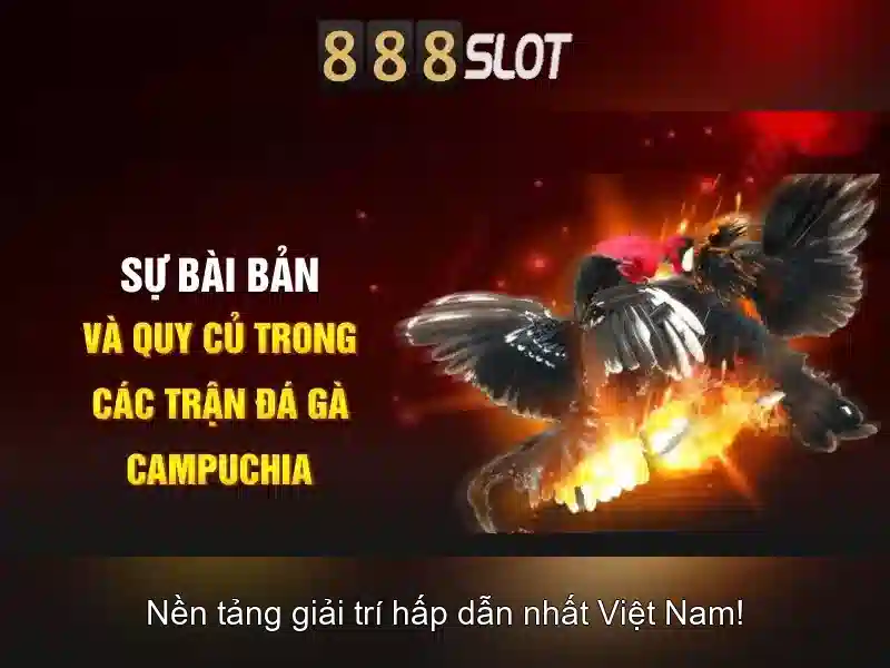 Khuyến mãi và ưu đãi