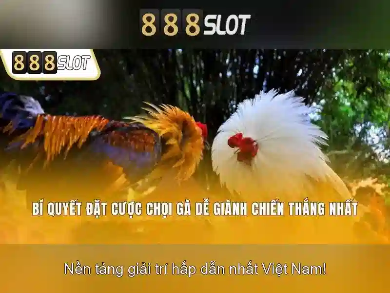 Giao diện và tính tương thích