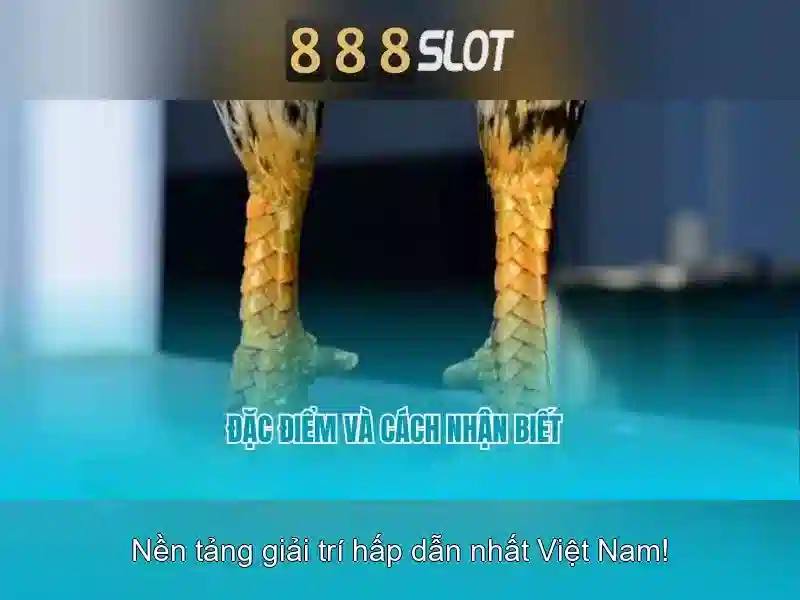 Danh sách trò chơi và tính năng