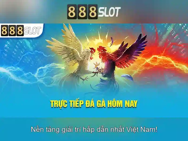 Độ tin cậy và cấp phép