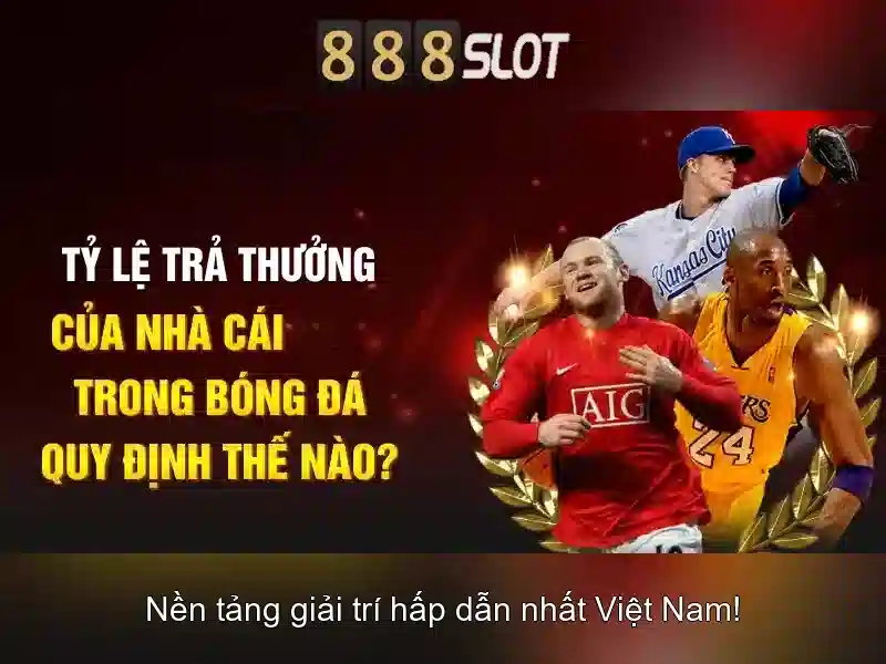Khuyến mãi và chương trình thưởng